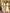 Carolina Yellow High-Neck Open-Back Halter Midi Dress