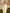 Carolina Yellow High-Neck Open-Back Halter Midi Dress