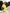 Isabelle Yellow Puff-Sleeve Pencil Midi Dress