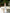 Livia White Satin Halter Ruched High-Slit Maxi Dress