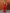Cecilia Red Satin Lace-Trim V-Neck Maxi Dress