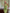 Riva Green Ruched Halterneck Sleeveless Maxi Dress