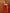 Cecilia Red Satin Lace-Trim V-Neck Maxi Dress