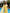Ginevra Yellow One-Shoulder Cape-Sleeve Maxi Dress