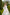 White Tiered Lace Belted Midi Dress - view 8 | ELAGIA