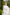 White Tiered Lace Belted Midi Dress - view 7 | ELAGIA