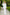 Selene White Single-Breasted Wide-Leg Suit 2-Piece - front view | ELAGIA