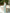 Livia Olive Satin Halter Ruched High-Slit Maxi Dress