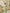 Livia Olive Satin Halter Ruched High-Slit Maxi Dress