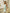 Livia Olive Satin Halter Ruched High-Slit Maxi Dress
