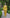 Selene Mustard Single-Breasted Wide-Leg Suit 2-Piece - side view | ELAGIA