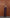 Cecilia Plum Satin Lace-Trim V-Neck Maxi Dress