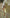 Yellow Tailored Vest & Overlap Mini Skort Set 2-Piece - side view | ELAGIA