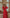 Stella Red Collarless Jacket Midi Skirt Suit 2-Piece - side view | ELAGIA