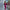 ELAGIA fuchsia puffed sleeve midi prom dress back view - 3 piece women's suit purple business suit women