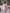 ELAGIA dusty pink single-breasted suit 2-piece close-up of fabric texture and button details on women's blazer