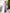ELAGIA purple business suit women jumpsuit styled with belt showing waist definition and silhouette