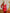 ELAGIA Red Sweetheart Top & Midi Skirt 2-Piece Set - side angle of womens red suit set highlighting fit