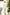 White Long Sleeve Thigh-Slit Maxi Dress - front view | ELAGIA