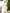 White Long Sleeve Thigh-Slit Maxi Dress - back view | ELAGIA
