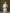 ELAGIA white satin one-shoulder cut-out midi dress - front view showing asymmetrical neckline and side cutout detail