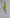 ELAGIA green casual short suit 2-piece back view - women's short suit showing rear styling and comfortable fit