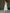 ELAGIA white satin corseted strapless dress on model walking - movement shot showing dress flow and fit