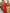 ELAGIA red double breasted suit 2-piece close-up of fabric texture and construction quality