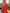 ELAGIA red double breasted suit 2-piece lifestyle shot - 3 piece women's suit business professional styling