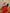 ELAGIA red backless puff sleeve mini dress close-up of puff sleeves - 3 piece women's suit styling