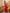 ELAGIA red strapless jumpsuit waist detail - womens red suit set construction close-up
