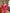ELAGIA Crimson Satin Sweetheart Puff-Sleeve Midi Dress front view - purple business suit women 3 piece women's suit