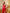 ELAGIA womens red suit set lifestyle shot of strapless v-neck jumpsuit in natural lighting