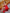 ELAGIA red suit womens full-length view showing complete silhouette and fit