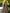 ELAGIA brown belted wool coat side angle displaying length and casual fit