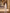 ELAGIA white regular-fit 3 piece women's suit styled on model in office setting professional look
