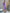 ELAGIA Lavender Puff-Sleeve Midi Dress - front view of purple business suit women's professional dress
