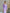 ELAGIA Lavender Puff-Sleeve Midi Dress - back view showing purple business suit women's elegant silhouette