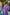 ELAGIA purple V-neck puff-sleeve midi dress styled look - 3 piece women's suit purple business suit women