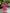 ELAGIA crimson v-neck puff-sleeve midi dress full length - 3 piece women's suit purple business suit women view