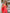 ELAGIA coral suit pants detail - tailored trousers completing the purple business suit women's formal outfit