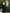 ELAGIA black high waist slit cuff culottes - full length view women's black suit set formal wear