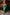 ELAGIA green midi dress styled on model showing fit - 3 piece women's suit alternative in forest green