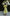ELAGIA yellow puff-sleeve wrap midi dress back detail view - 3 piece women's suit purple business suit women