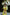 ELAGIA yellow puff-sleeve wrap midi dress styled close-up - 3 piece women's suit purple business suit women look