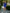 Blue Square Neck Long Sleeve Mini Dress - view 20 | ELAGIA
