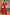 ELAGIA red 2-piece suit outfit coordination - purple business suit women styled with matching belt