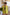 ELAGIA green casual short suit 2-piece front view - relaxed women's suit with shorts and matching blazer jacket
