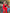 ELAGIA Red Slit Sleeve Suit 2-Piece lifestyle shot - versatile purple business suit women workwear