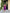 ELAGIA purple satin slip dress lifestyle shot - versatile 3 piece women's suit style for professional wear